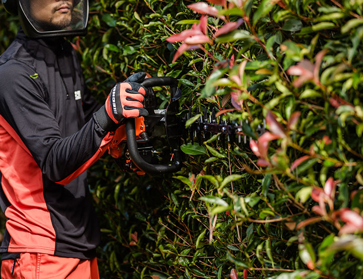 Japanese blades. Japanese blades.