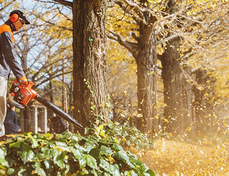 Power beyond belief Power beyond belief